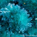 Aurichalcite - image 4