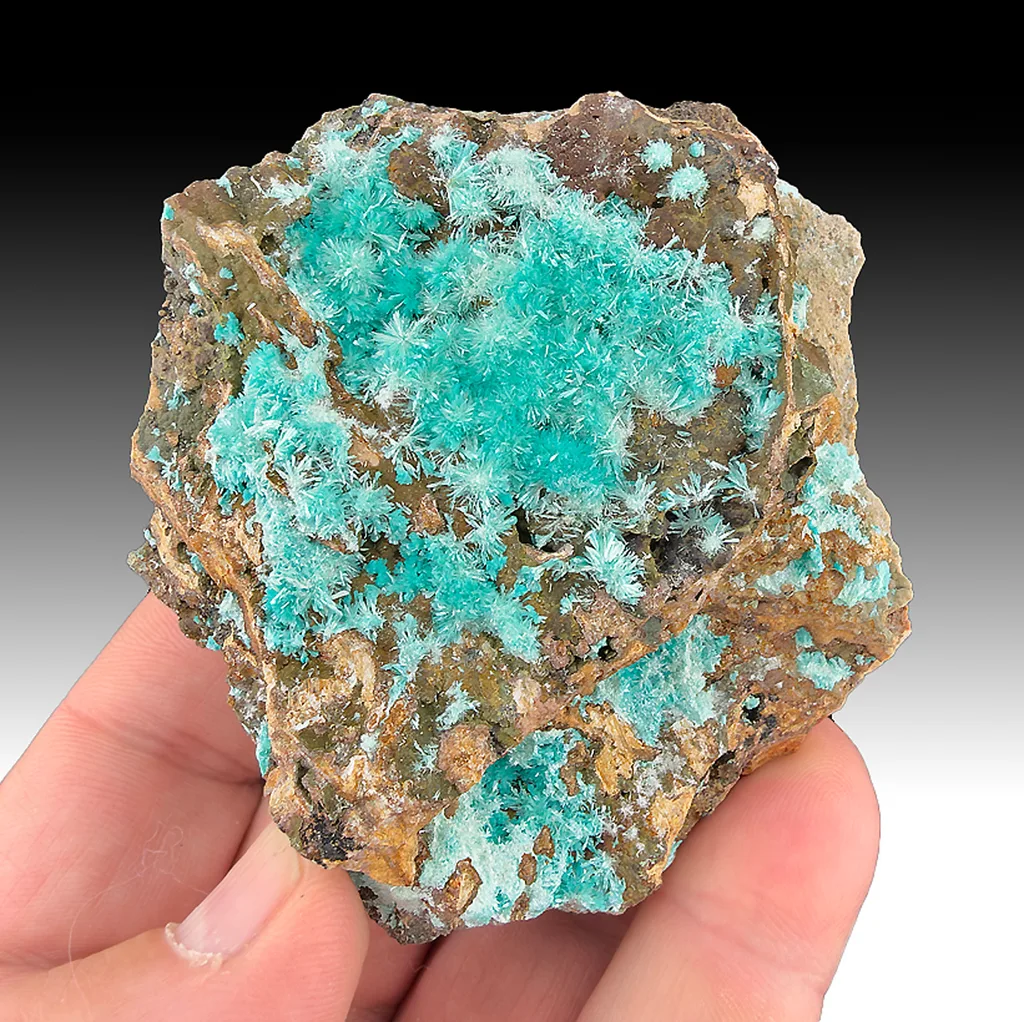 Aurichalcite from Grandview Mine, Arizona, USA image