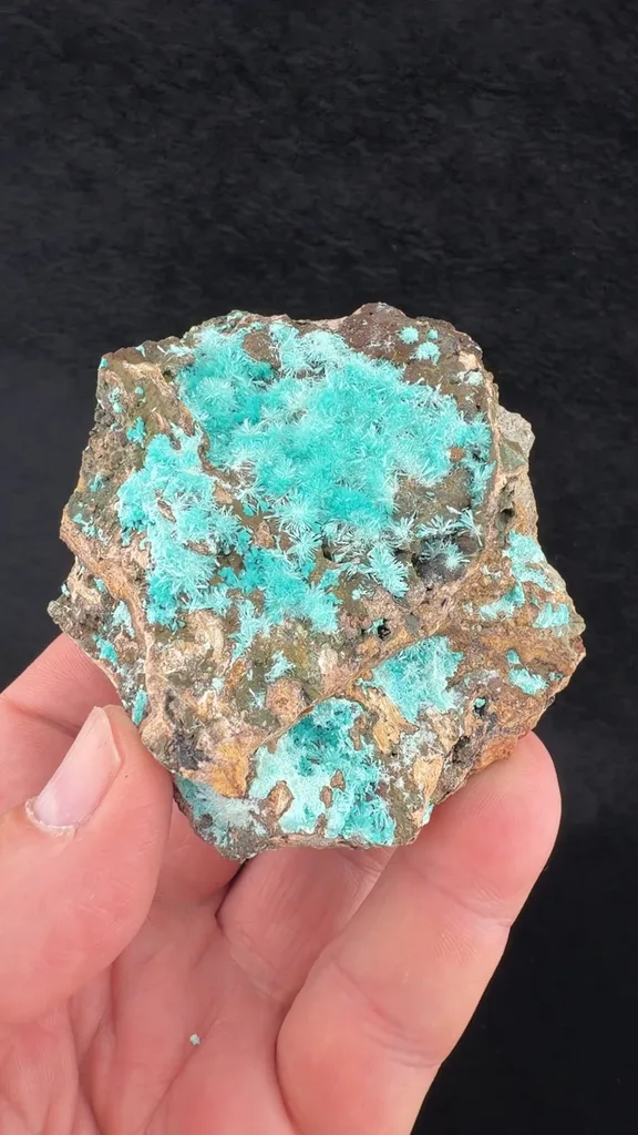 Aurichalcite from Grandview Mine, Arizona, USA - image 2