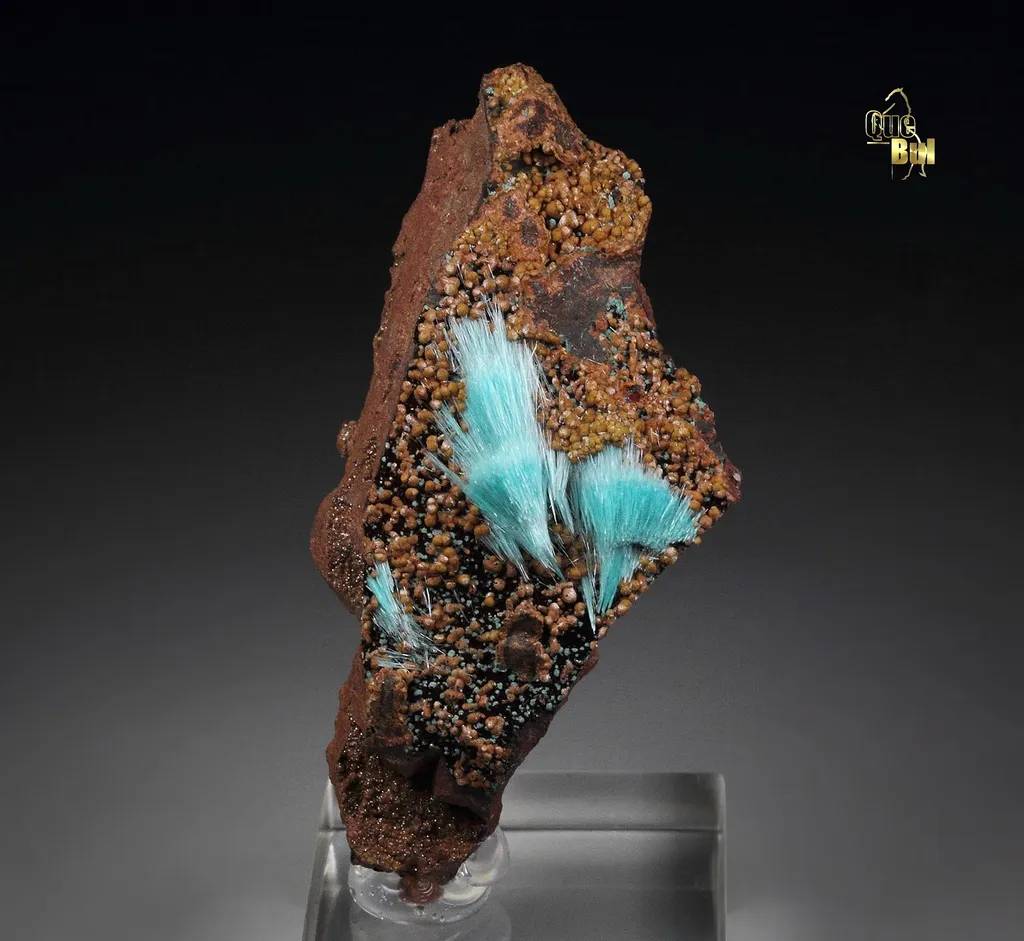 Aurichalcite from Mexico, Durango, Mapimí, Ojuela Mine image