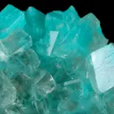 Aurichalcite in Calcite - image 4