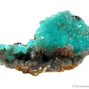 Aurichalcite in Calcite - image 1