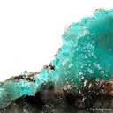 Aurichalcite in Calcite - image 2