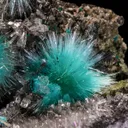 Aurichalcite on Hemimorphite - image 1