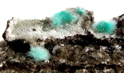 Aurichalcite, Smithsonite - image 2