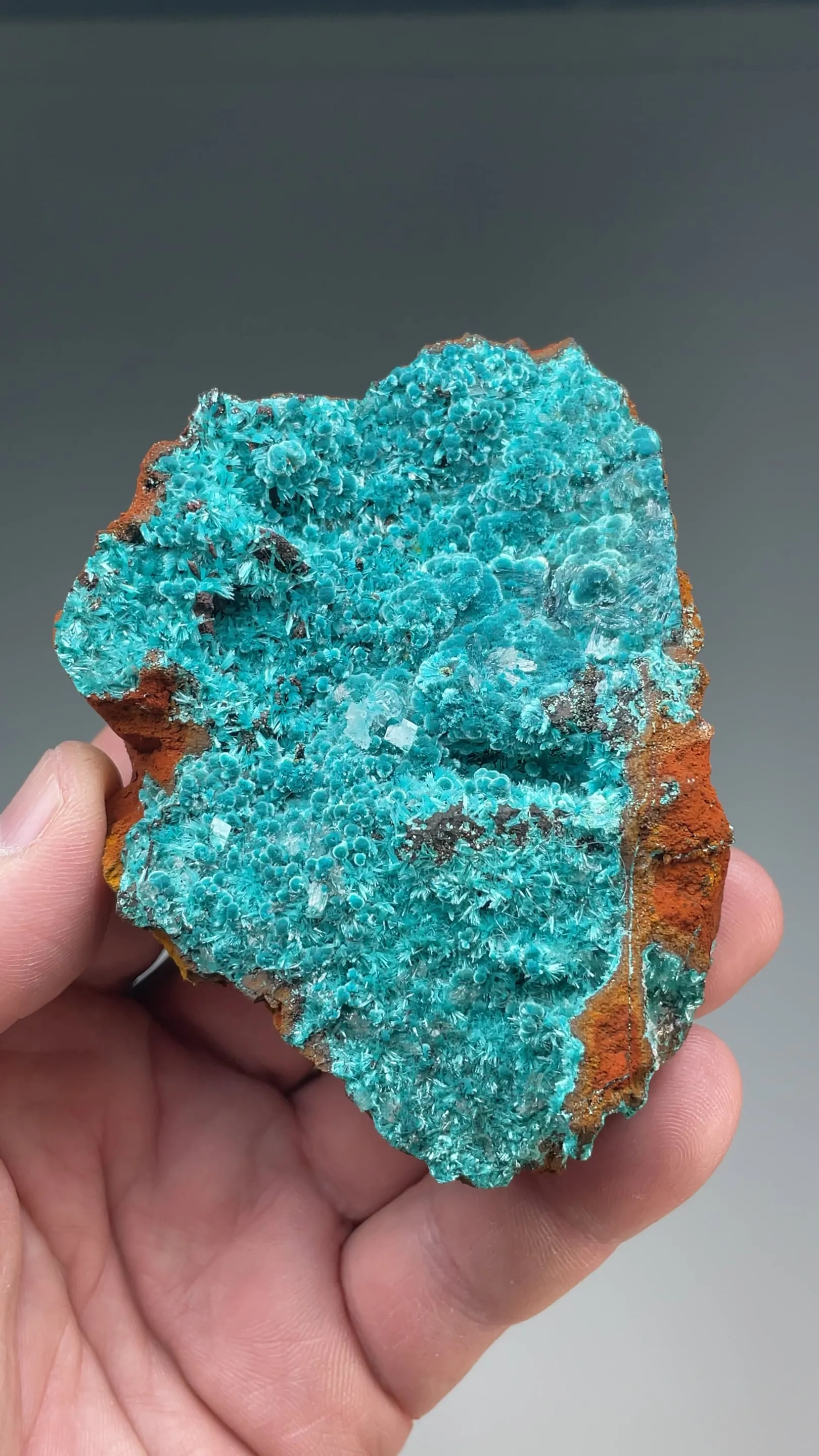 Aurichalcite with Calcite - image 2