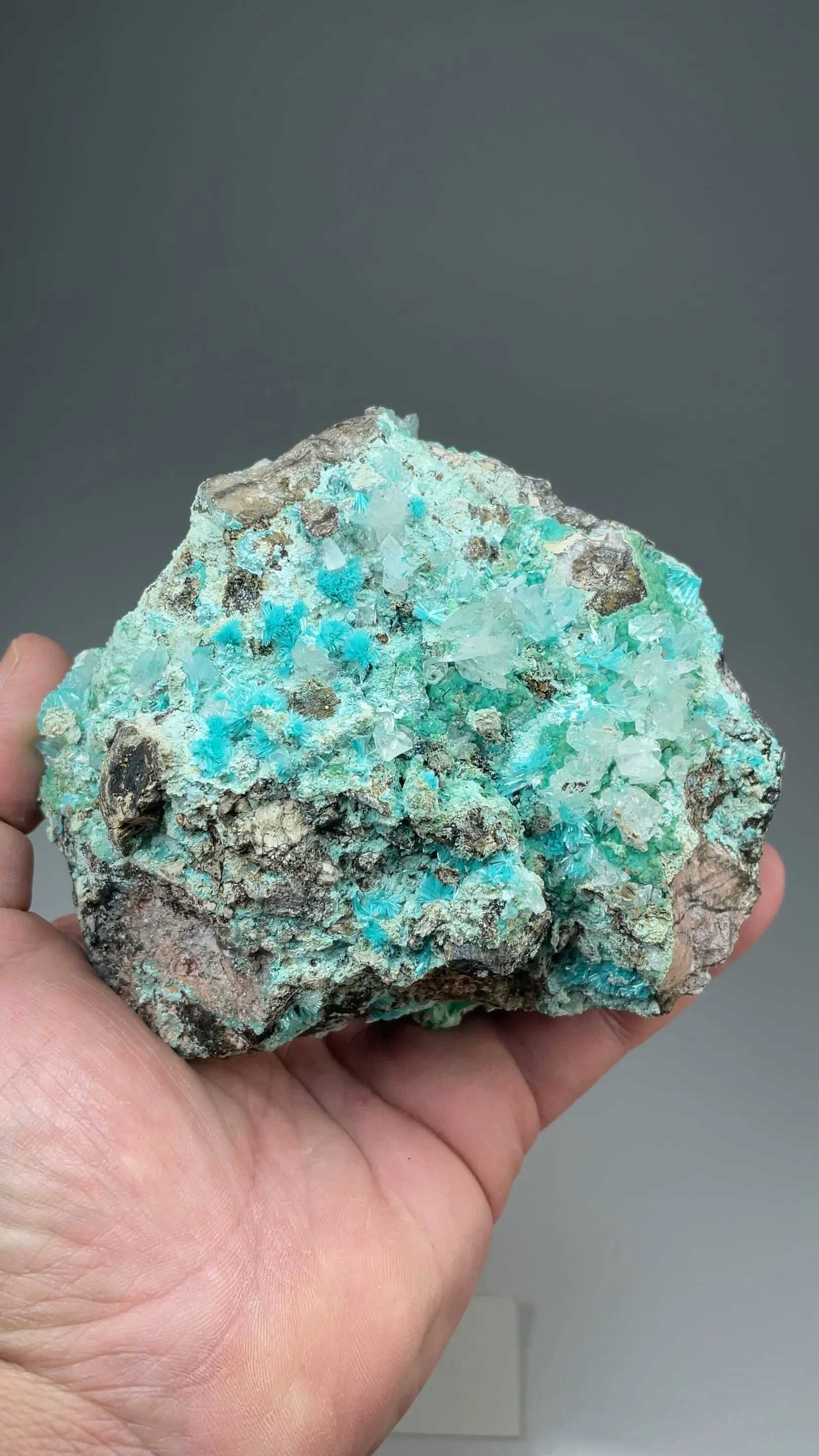 Aurichalcite with Calcite, Chrysocolla - image 2