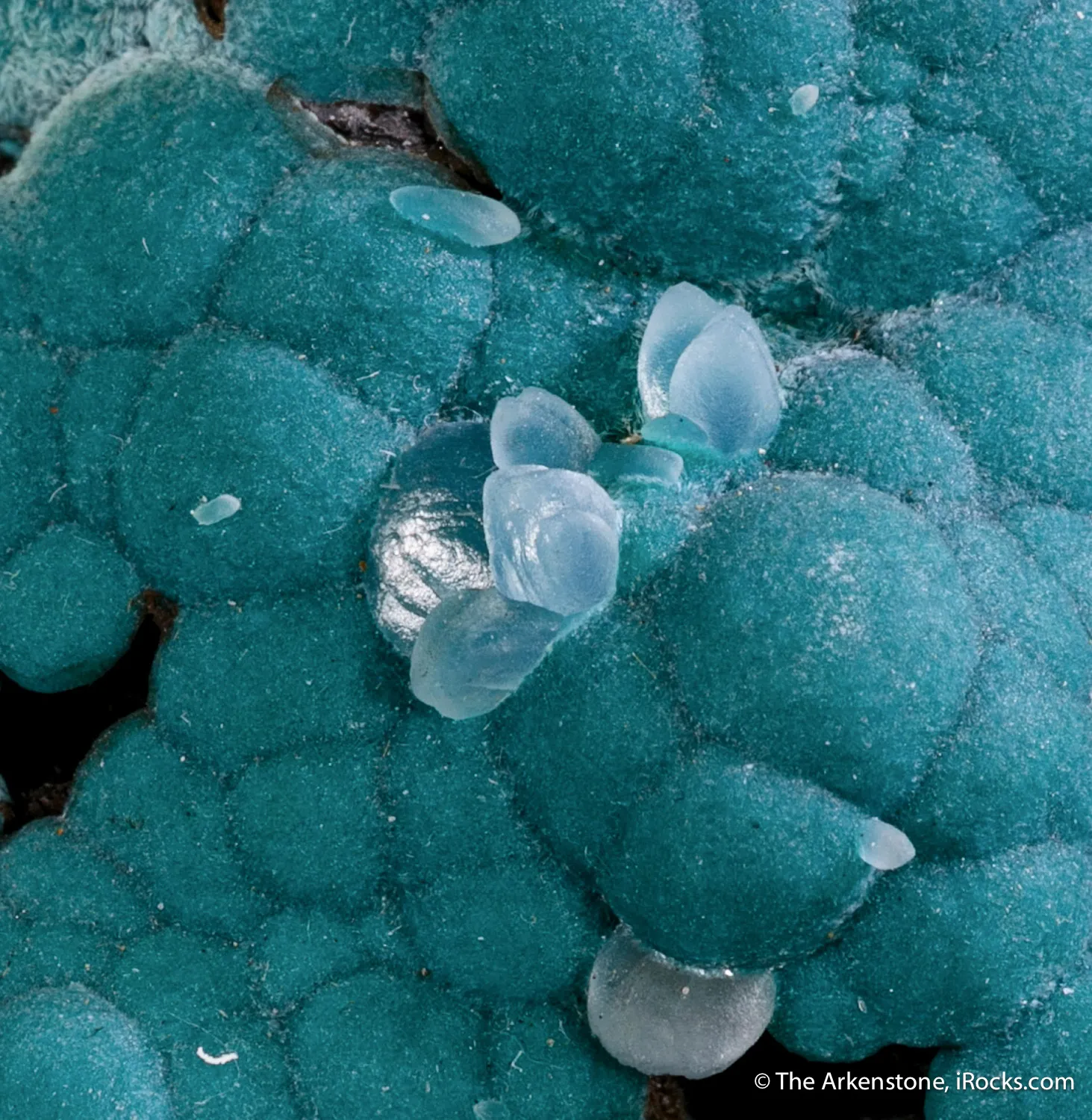 Aurichalcite with Smithsonite - image 3
