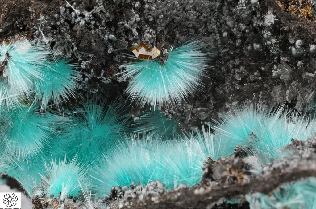 Aurichalcite & Wulfenite image