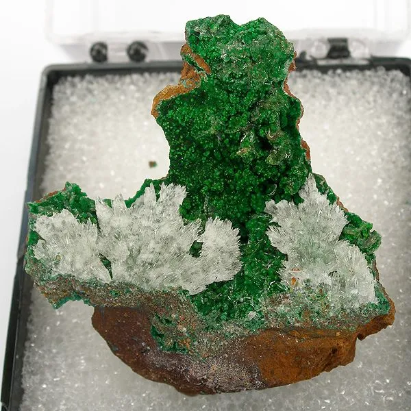 Austinite, Conichalcite image