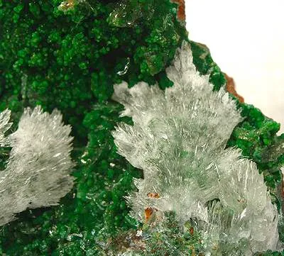 Austinite, Conichalcite - image 2