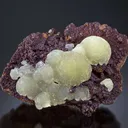 Austinite from Mexico, Mapimí, Ojuela Mine - image 3