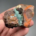 Austinite from Ojuela Mine, Mapimí, Durango, Mexico - image 2
