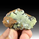 Austinite from Ojuela Mine, Mapimí, Durango, Mexico - image 1