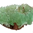 Austinite on Goethite - image 2
