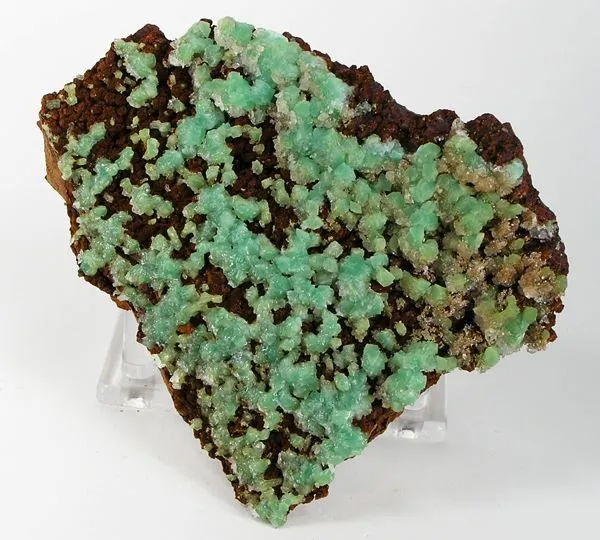 Austinite (Var: Cuprian Austinite) image