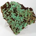 Austinite (Var: Cuprian Austinite) - image 1