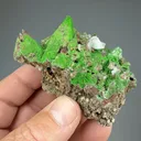 Austinite with Calcite - image 2