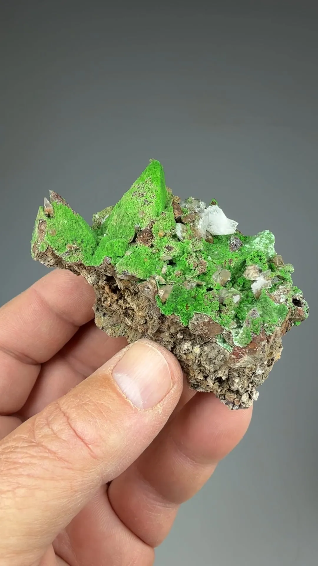 Austinite with Calcite - image 2