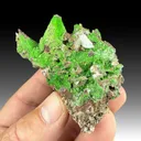 Austinite with Calcite - image 1