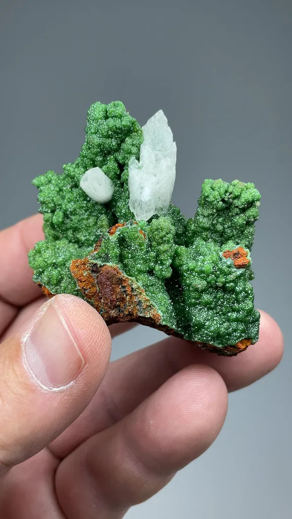 Austinite with Calcite - image 2