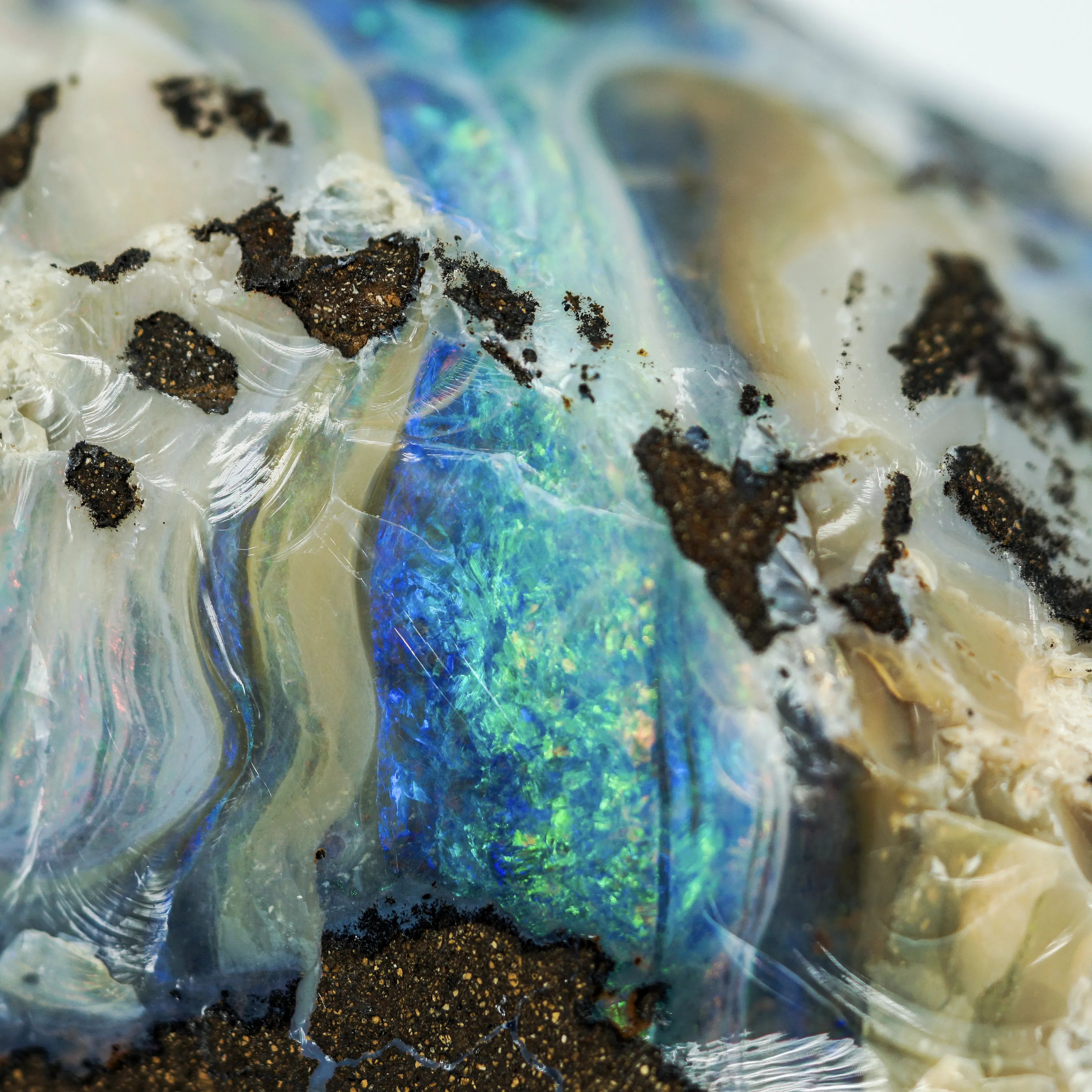 Australian Opal - Rough Collector Grade Specimen from Lightning Ridge - image 2