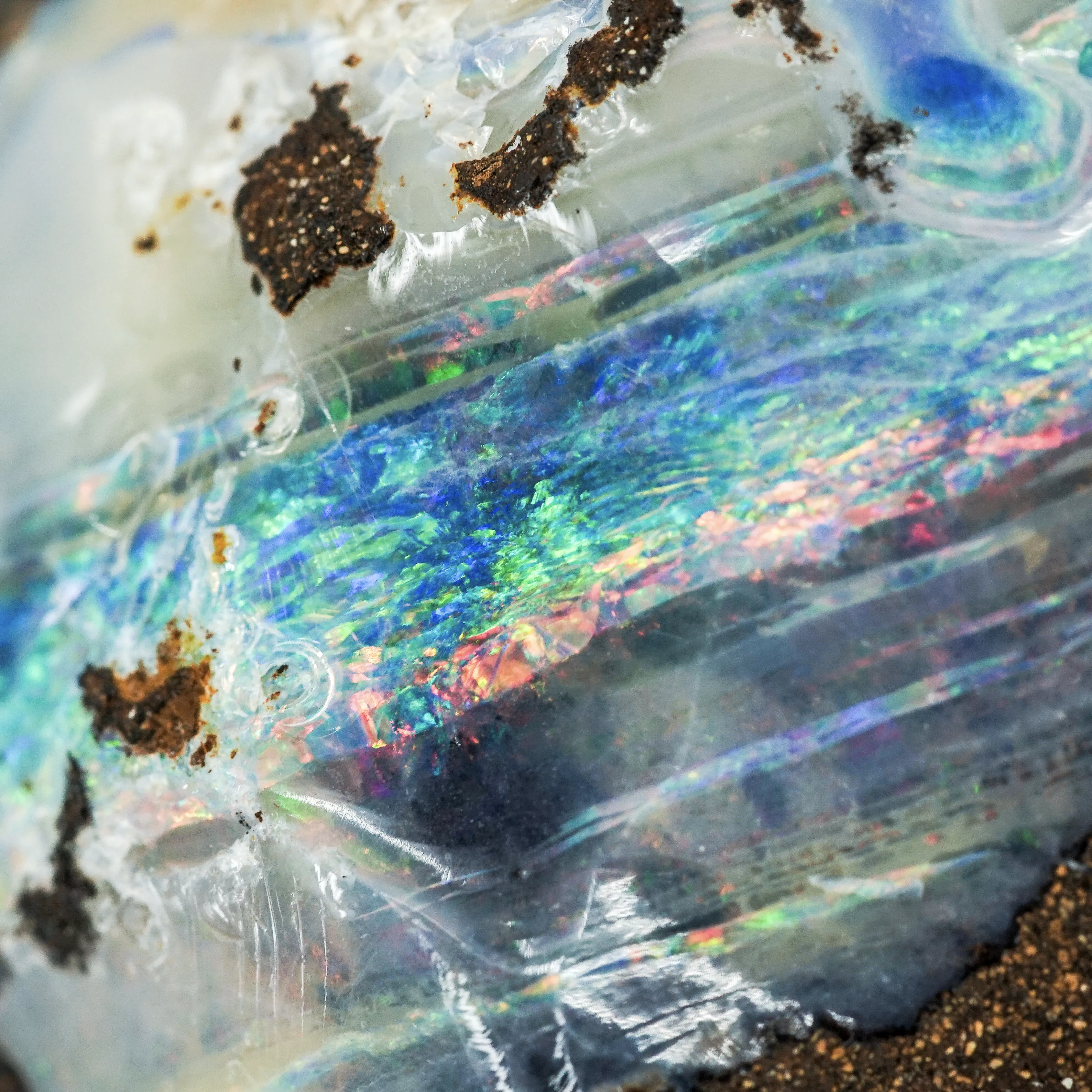 Australian Opal - Rough Collector Grade Specimen from Lightning Ridge - image 6