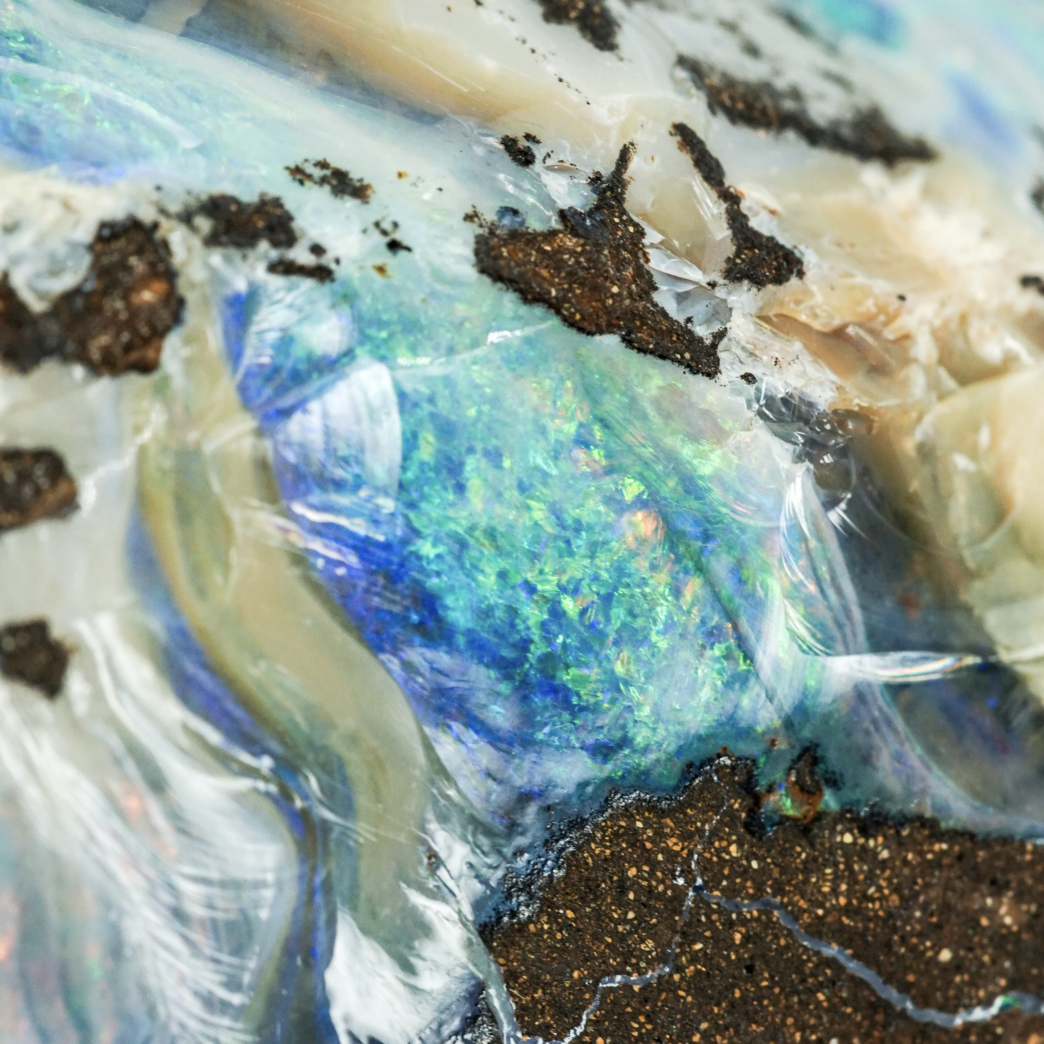 Australian Opal - Rough Collector Grade Specimen from Lightning Ridge - image 8