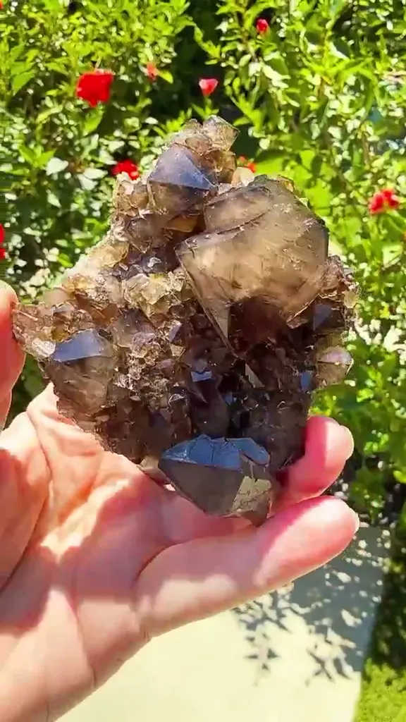 Australian Smoky Quartz hits differently in the sunlight - image 3