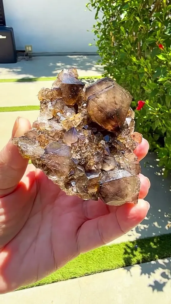 Australian Smoky Quartz hits differently in the sunlight image