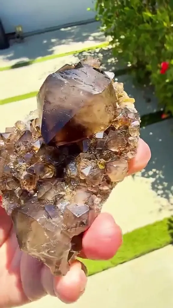 Australian Smoky Quartz hits differently in the sunlight - image 4
