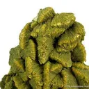 Autunite - image 2