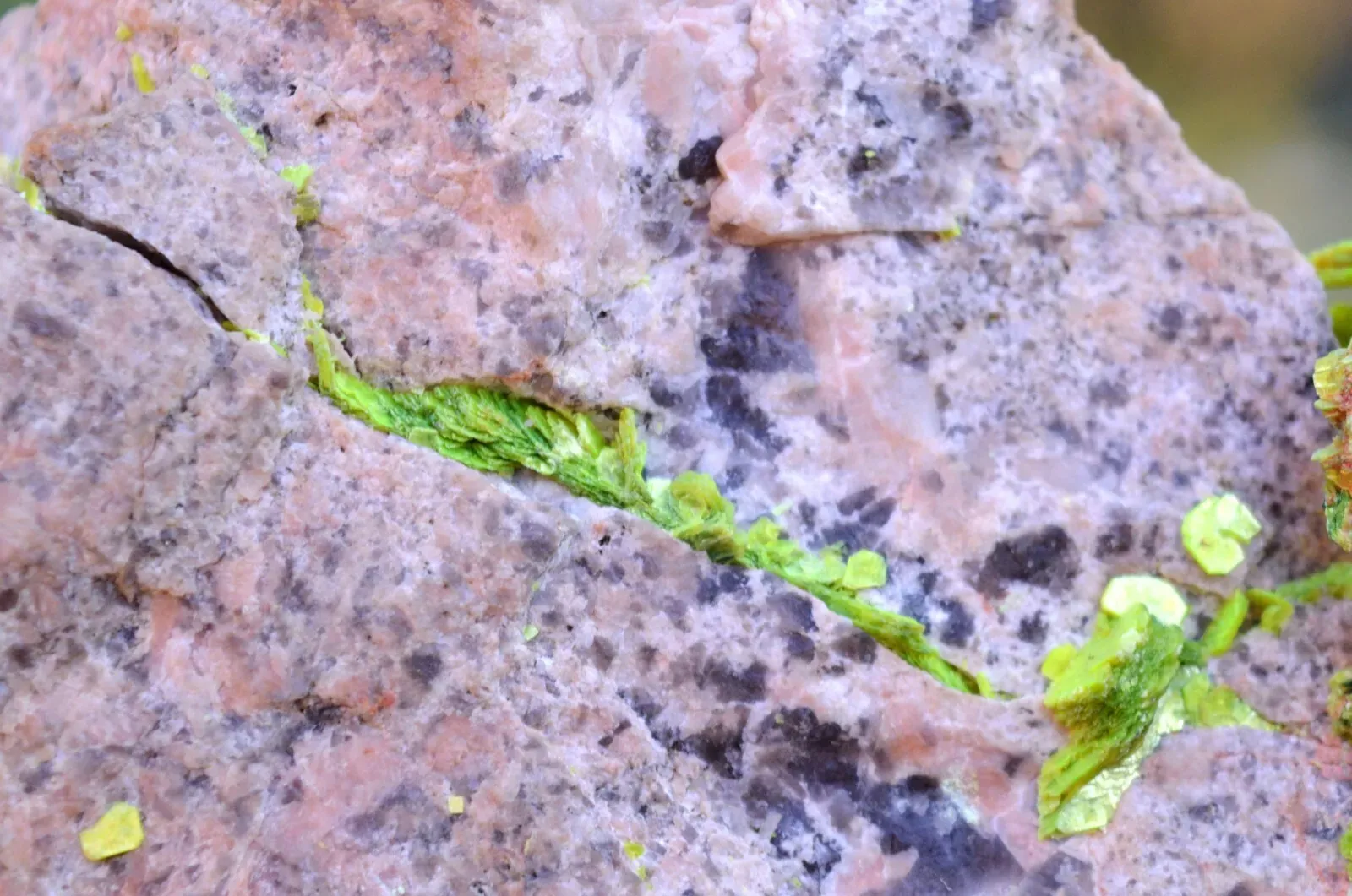 Autunite 540 grams - Les Ruaux Mine, Saint-Symphorien-de-Marmagne, Autun, France - image 8