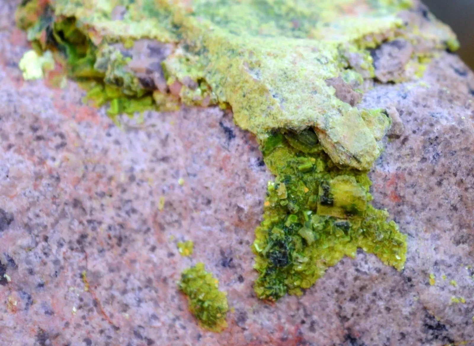 Autunite 540 grams - Les Ruaux Mine, Saint-Symphorien-de-Marmagne, Autun, France - image 9
