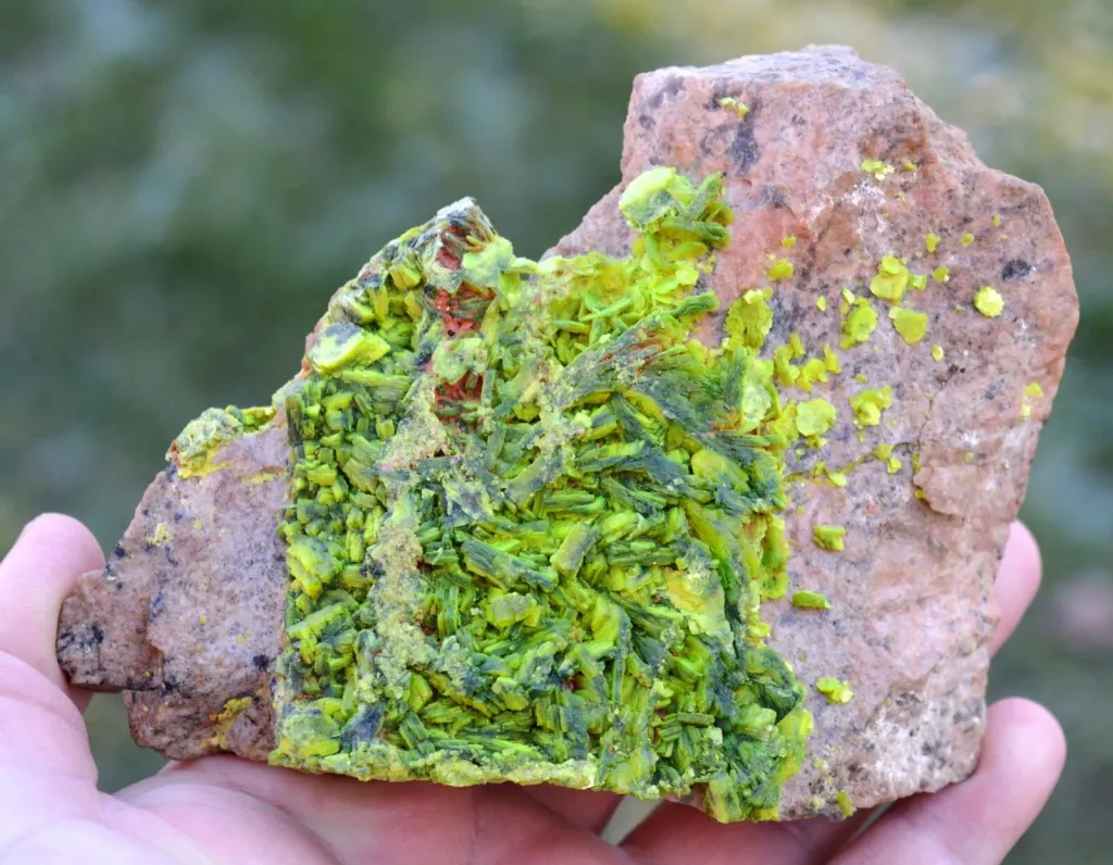 Autunite 540 grams - Les Ruaux Mine, Saint-Symphorien-de-Marmagne, Autun, France image