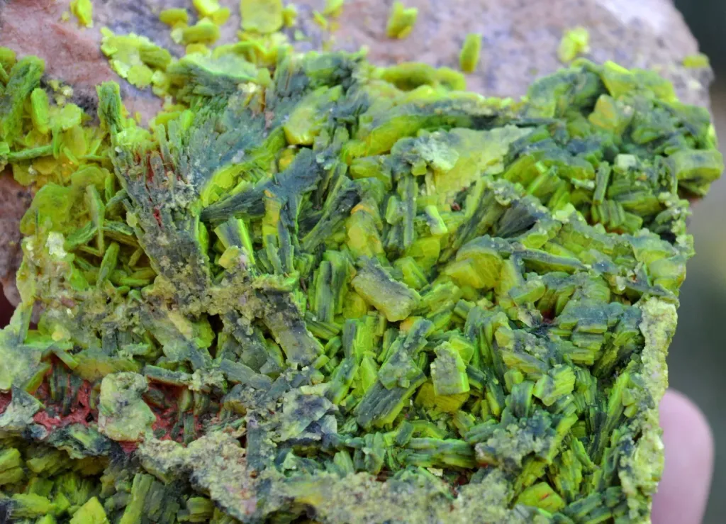 Autunite 540 grams - Les Ruaux Mine, Saint-Symphorien-de-Marmagne, Autun, France - image 5