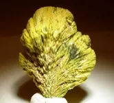 Autunite image