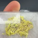 Autunite - image 2