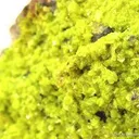 Autunite - image 2