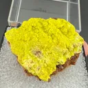 Autunite - image 2