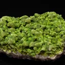 Autunite crystals - image 1