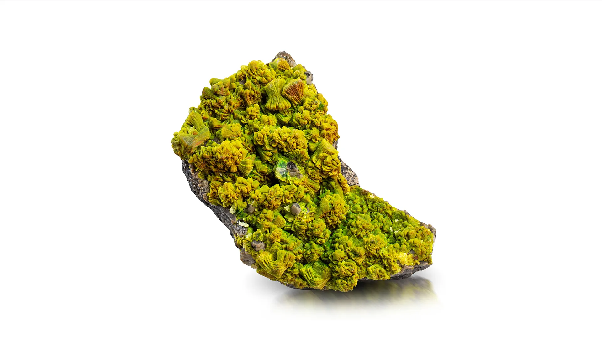 Autunite - image 1