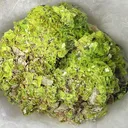 Autunite - image 1