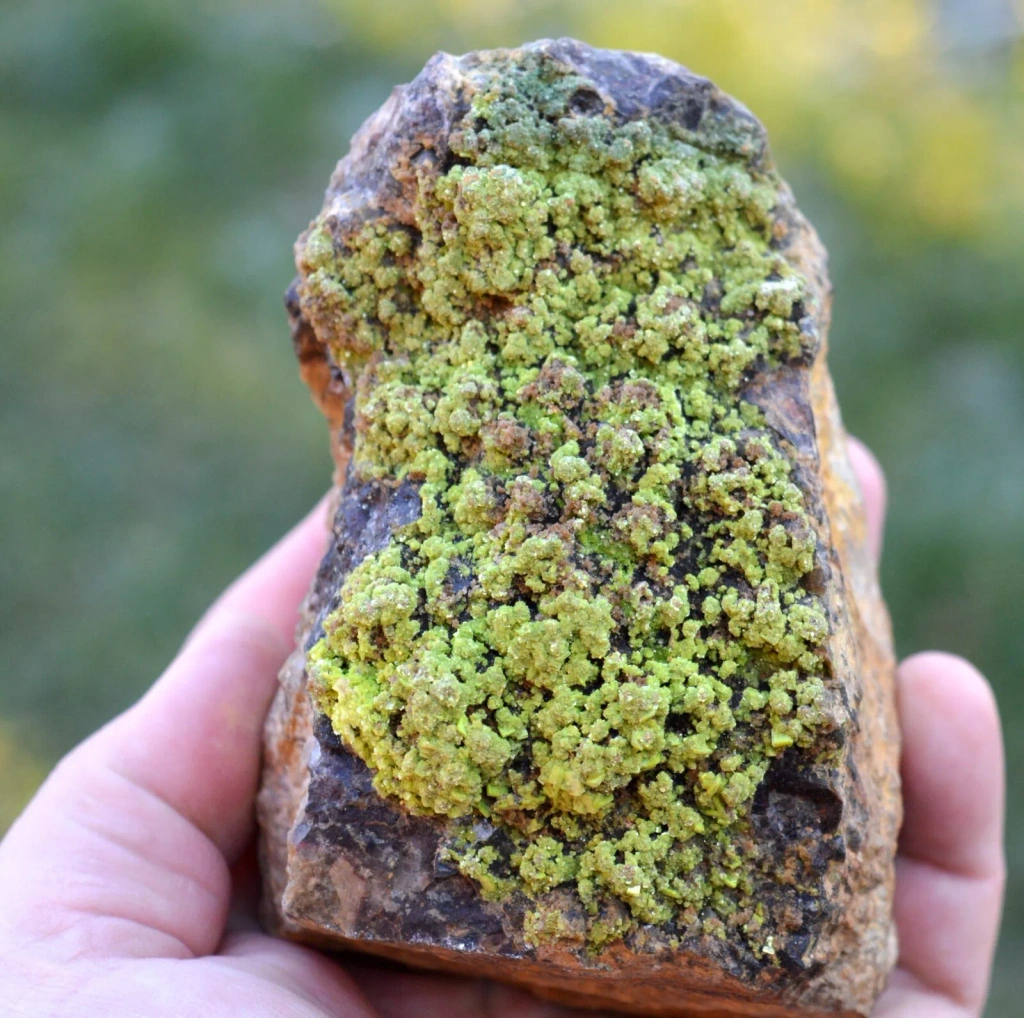 Autunite from Kerségalec, Brittany, France image