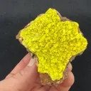 Autunite from Margnac Mine, Nouvelle-Aquitaine, France - image 2