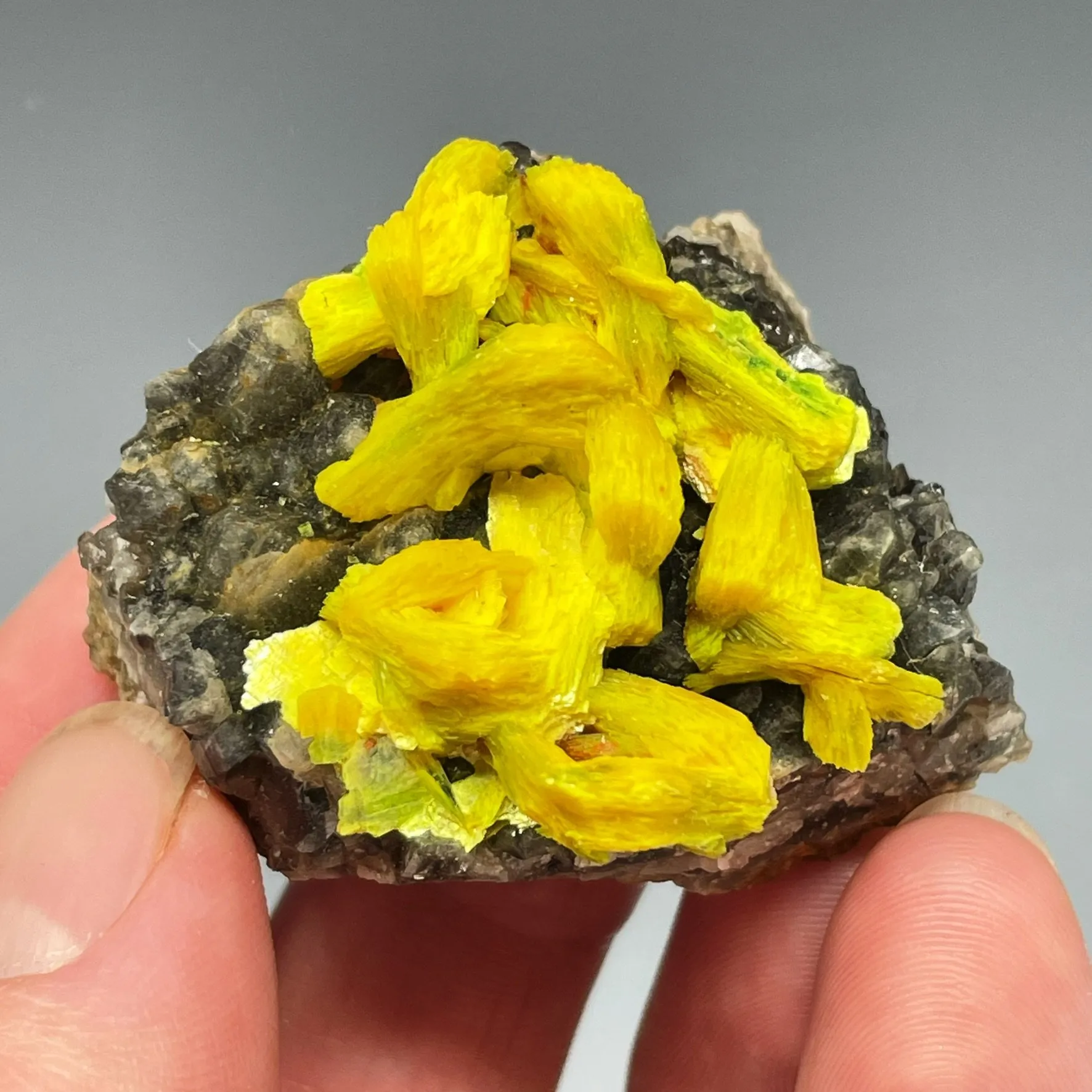 Autunite on Quartz on Granite - image 1