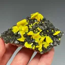 Autunite on Quartz on Granite - image 4