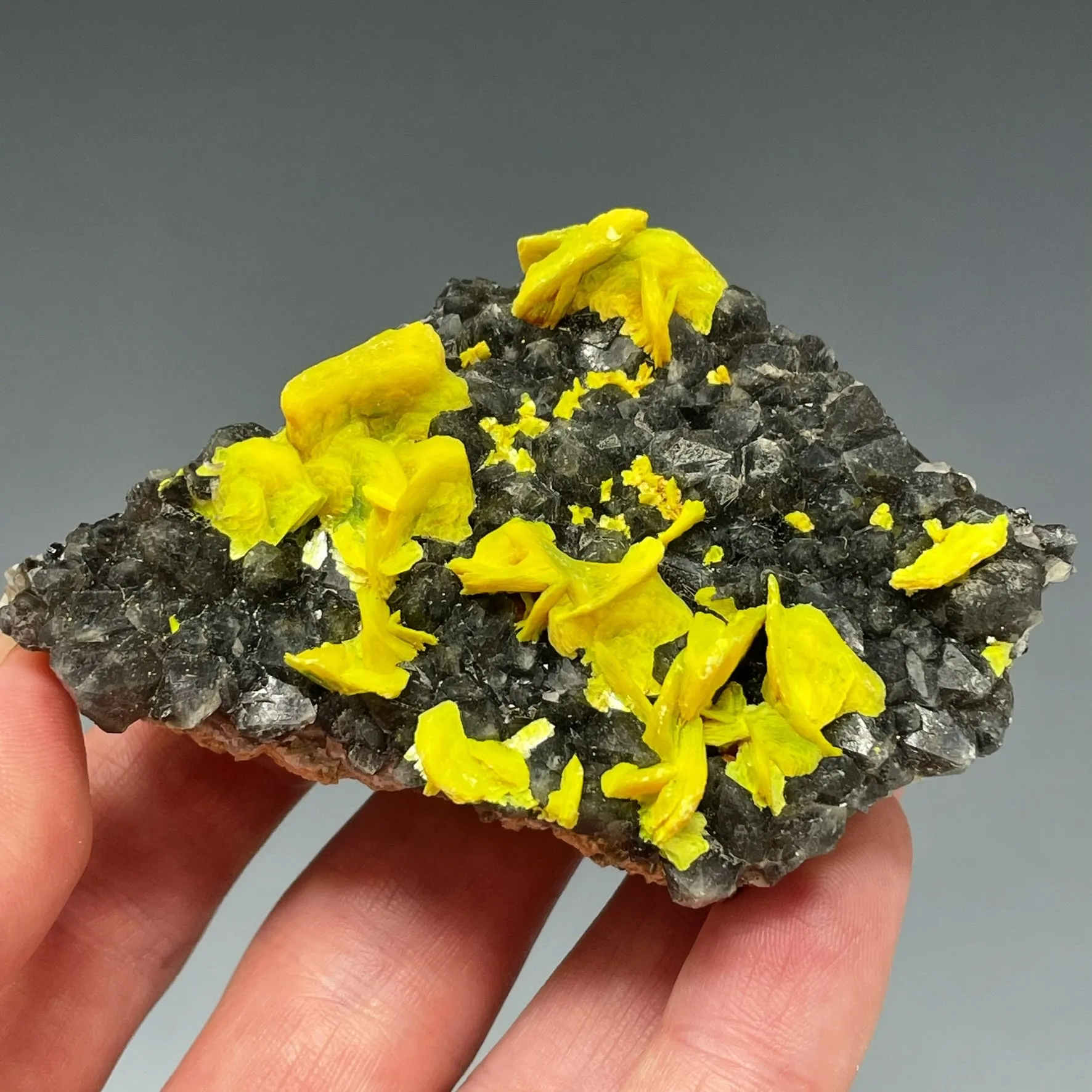 Autunite on Quartz on Granite - image 4