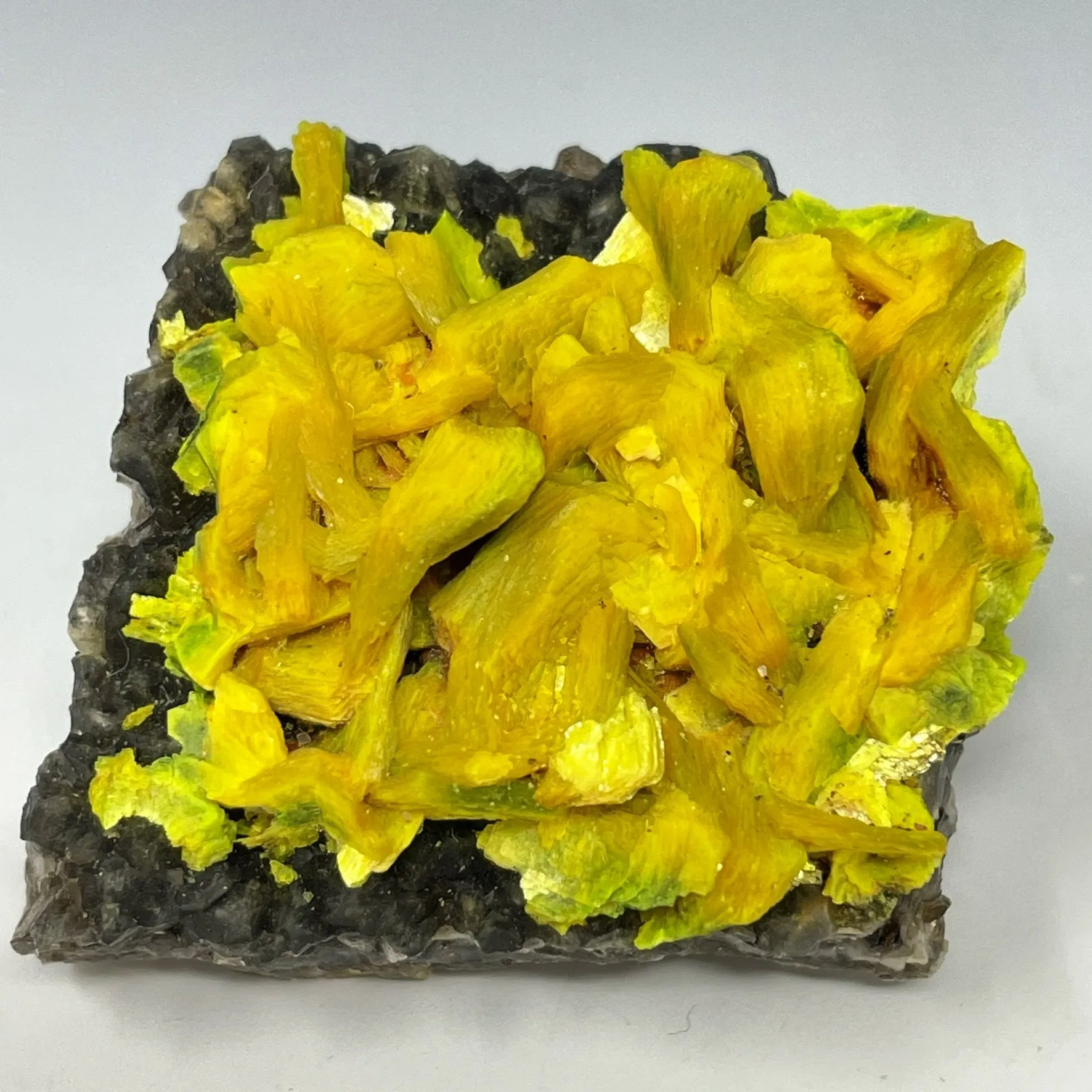 Autunite on Quartz on Granite - image 1