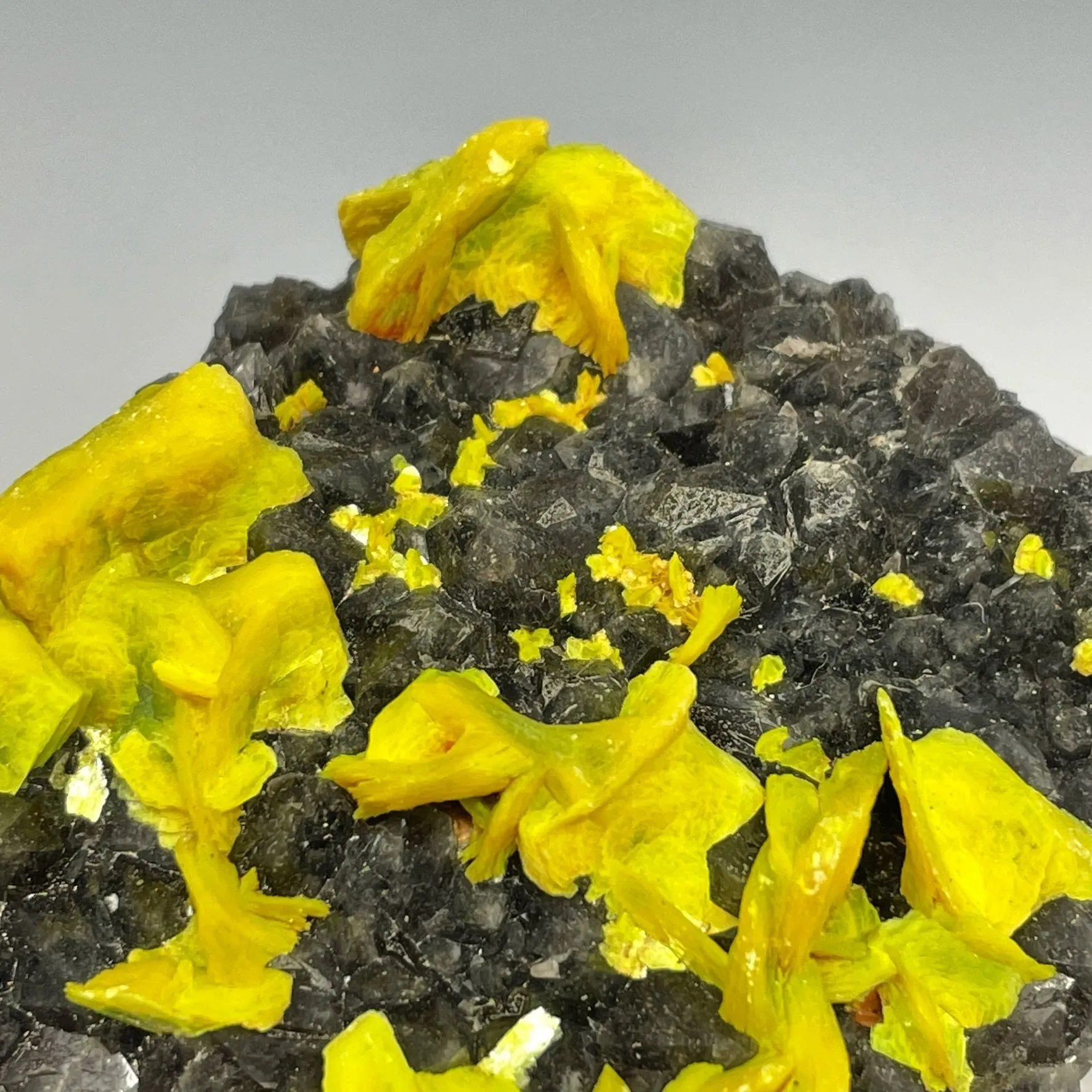 Autunite on Quartz on Granite - image 3